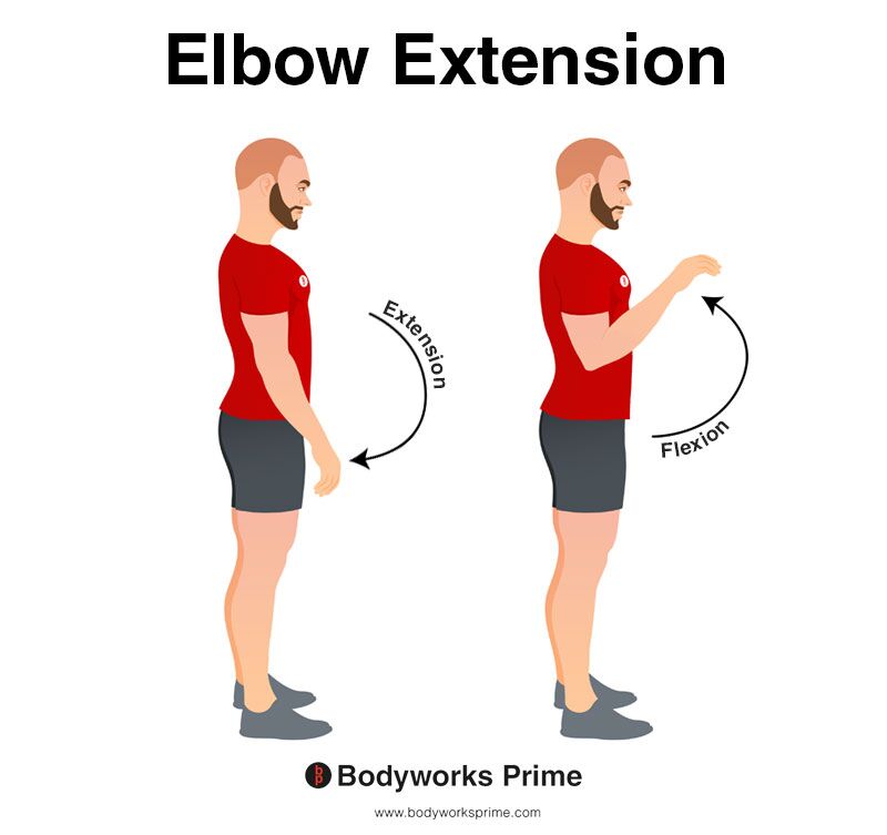 Image of a person demonstrating the movement of elbow extension.