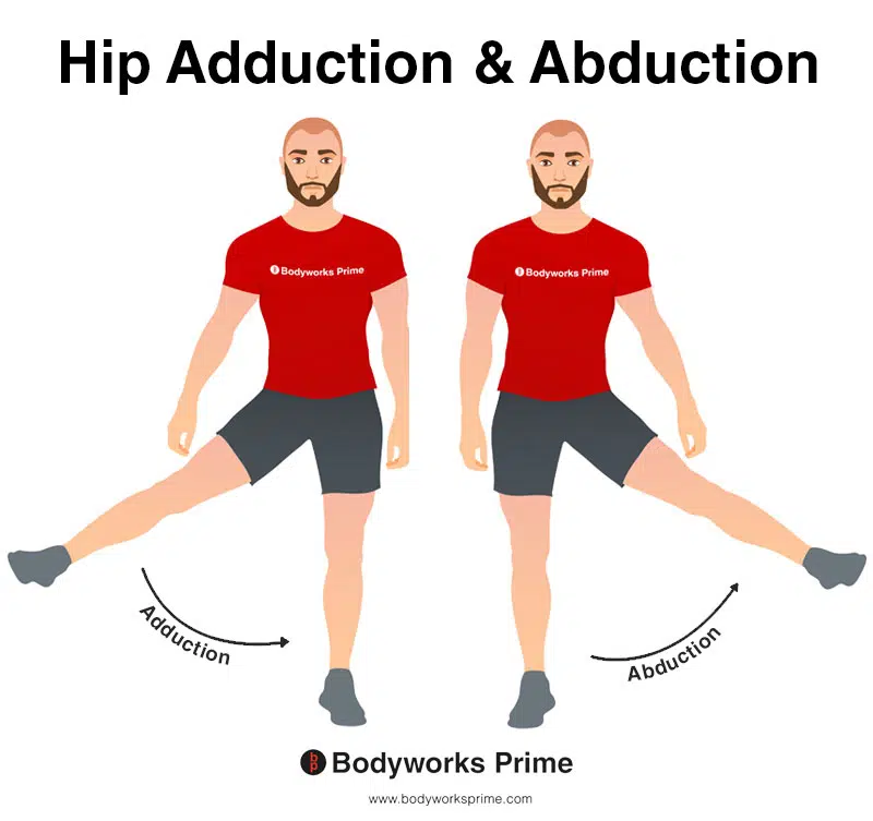 Image of a person demonstrating the movement of hip abduction and adduction.