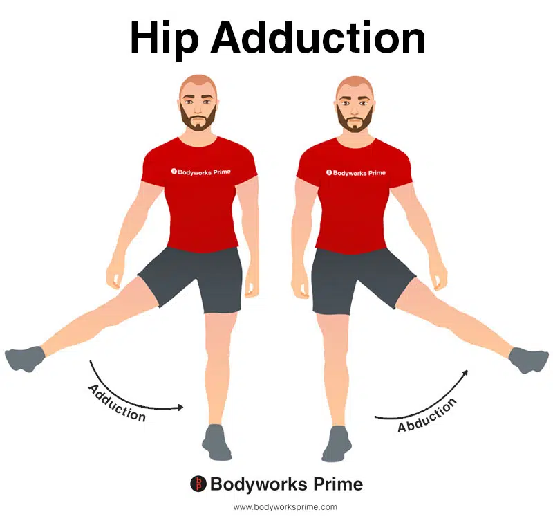 Image of a person demonstrating the movement of hip adduction.