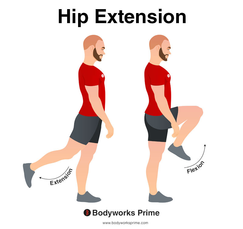 Person demonstrating hip extension