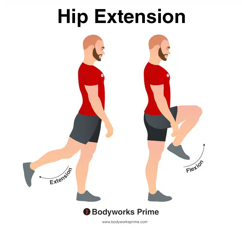 Image of a person demonstrating the movement of hip extension.