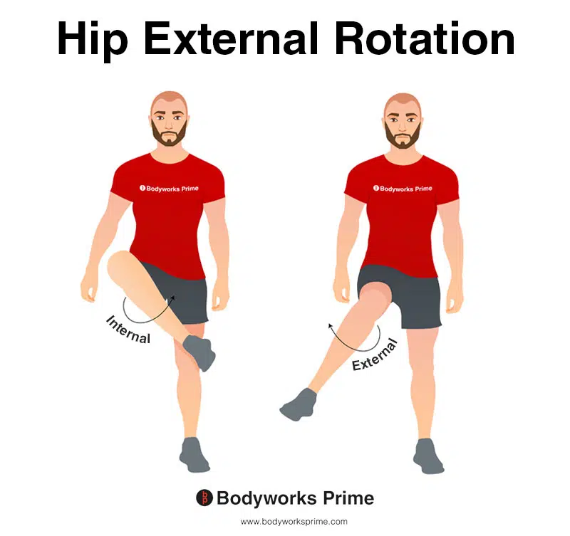 Image of a person demonstrating the movement of external rotation.