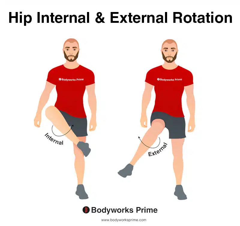 Image of a person demonstrating the movement of internal rotation and external rotation.