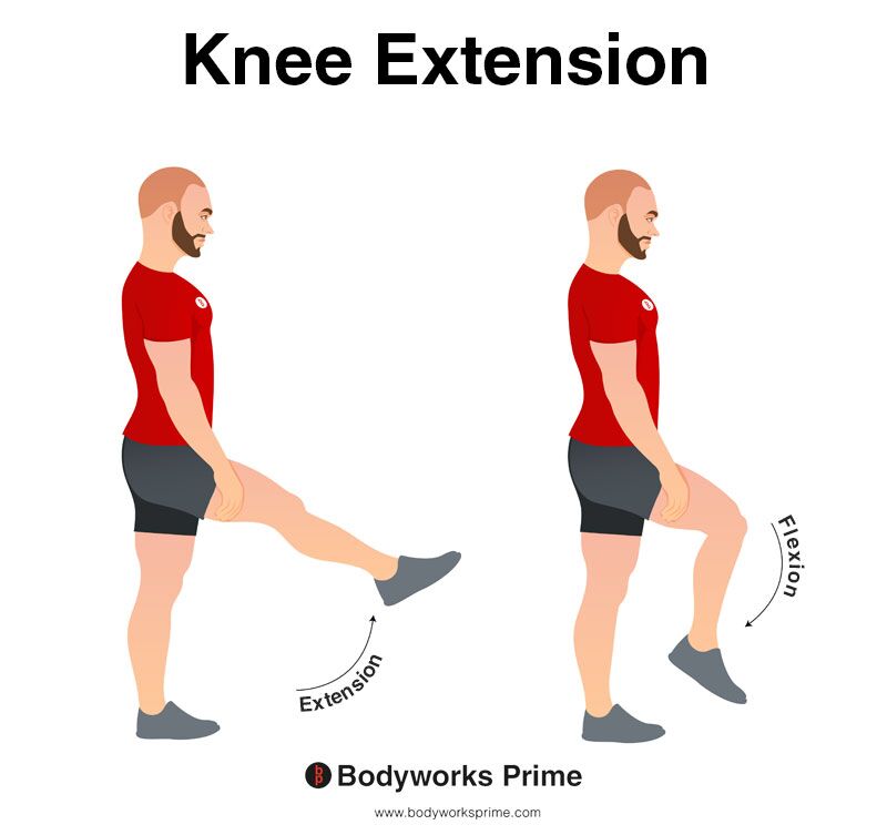 Image of a person demonstrating the movement of knee extension.
