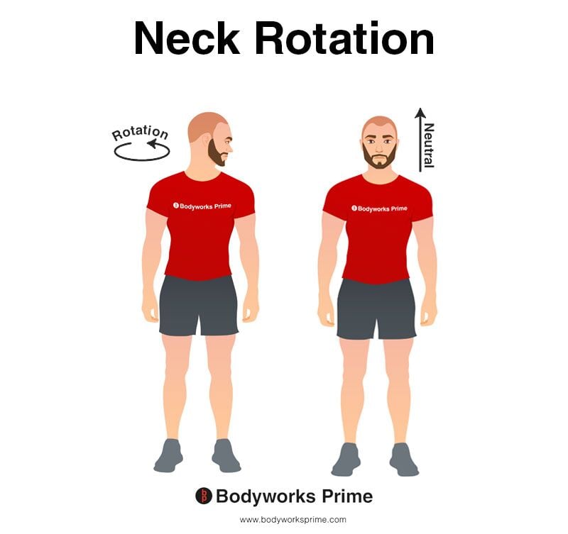 Image of a person demonstrating the movement of neck rotation.