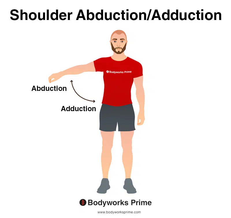Image of a person demonstrating the movements of shoulder abduction and adduction.