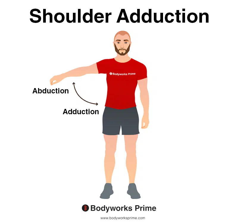 Image of a person demonstrating the movement of shoulder adduction.