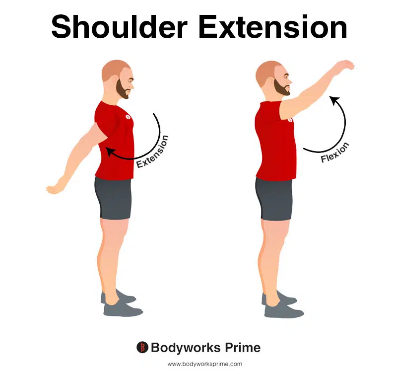 Image of a person demonstrating the movement of shoulder extension.