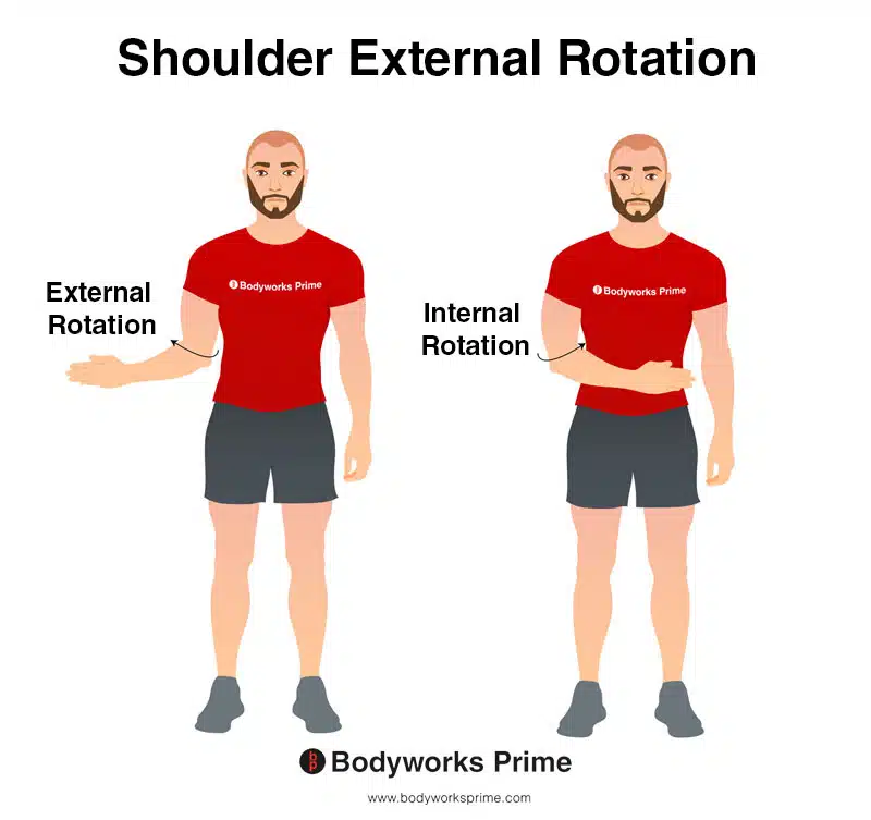 Image of a person demonstrating the movement of shoulder external rotation.