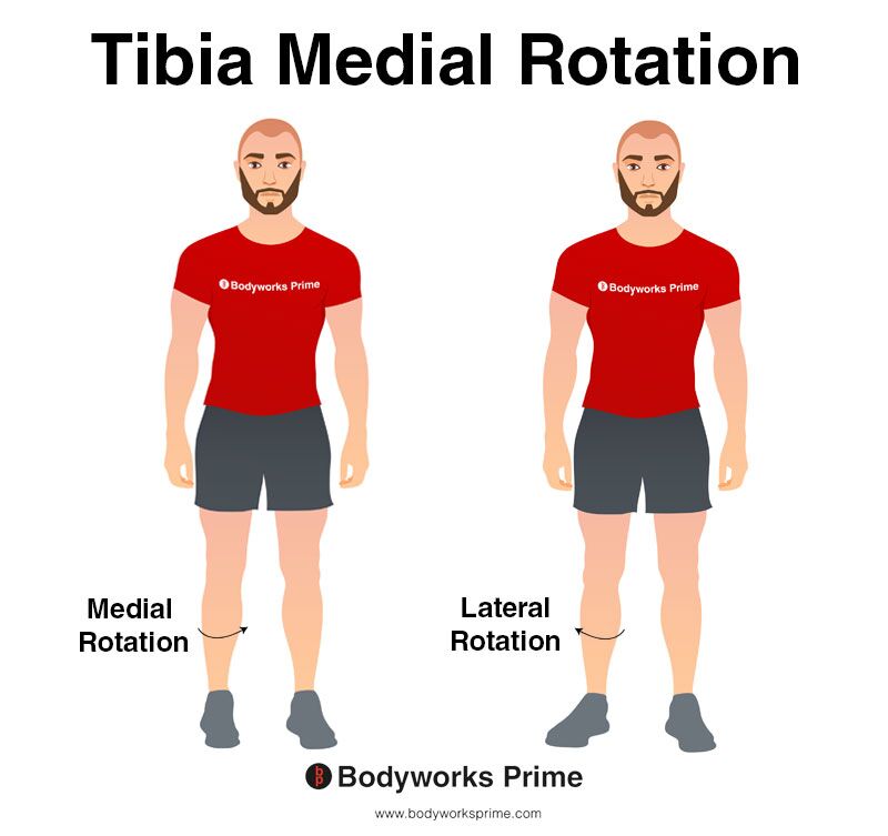 Image of a person demonstrating the movement of medial rotation of the tibia.