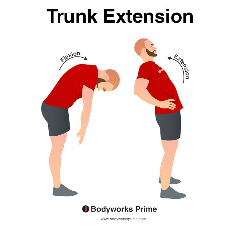 Image of a person demonstrating the movement of trunk extension.