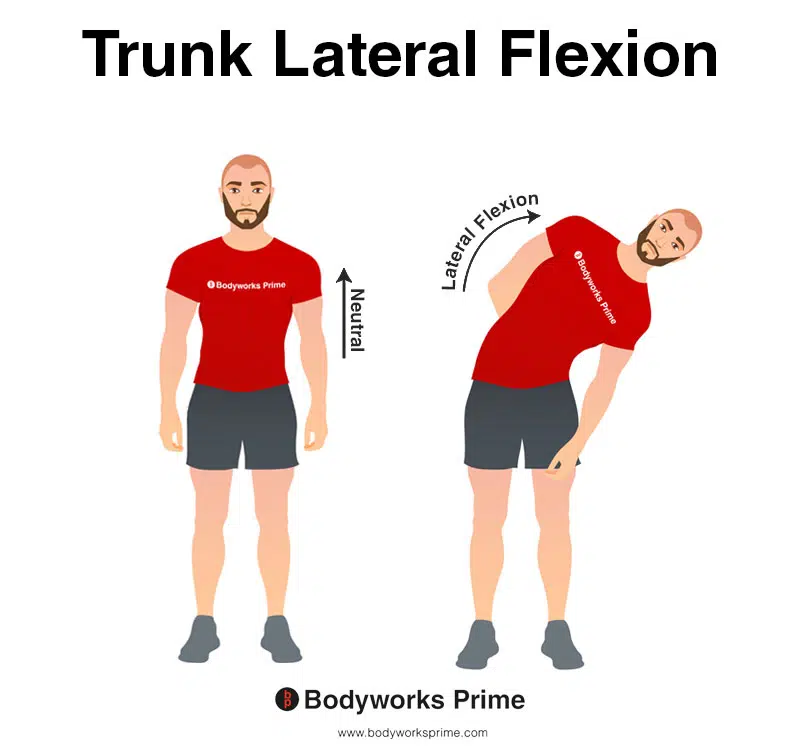 Image of a person demonstrating the movement of trunk lateral flexion.