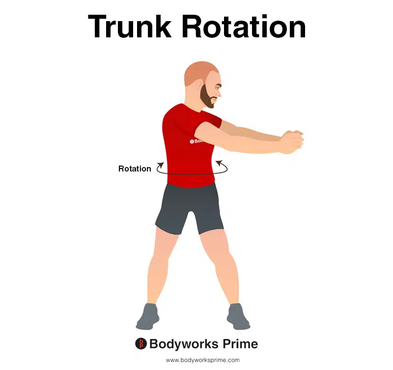Image of a person demonstrating the movement of trunk rotation.