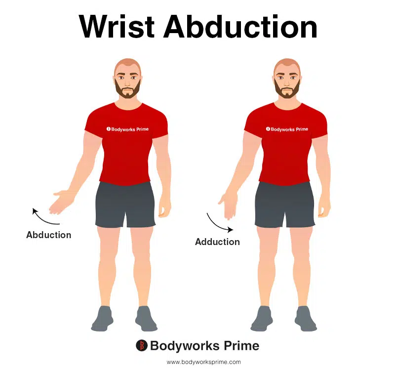 Image of a person demonstrating the movement of wrist abduction.